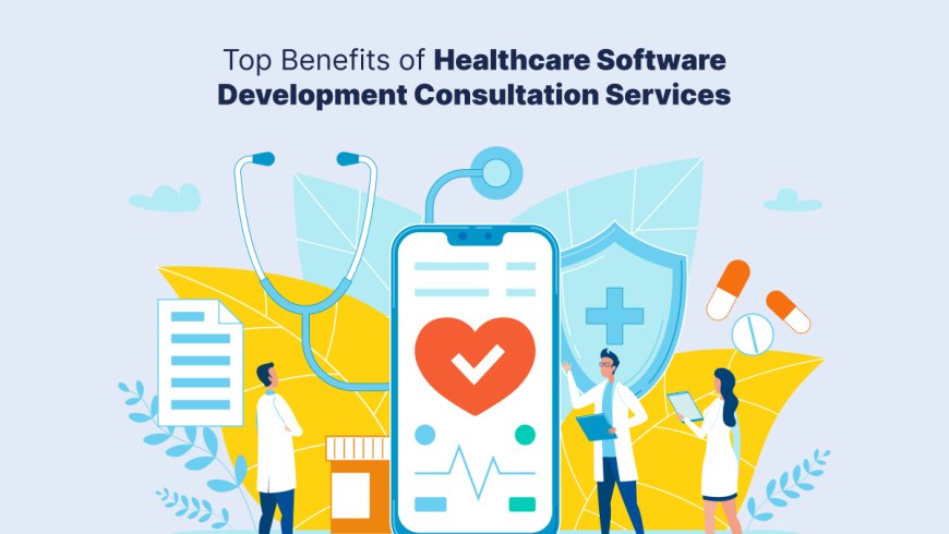 Top Benefits of Healthcare Software Development Consultation Services