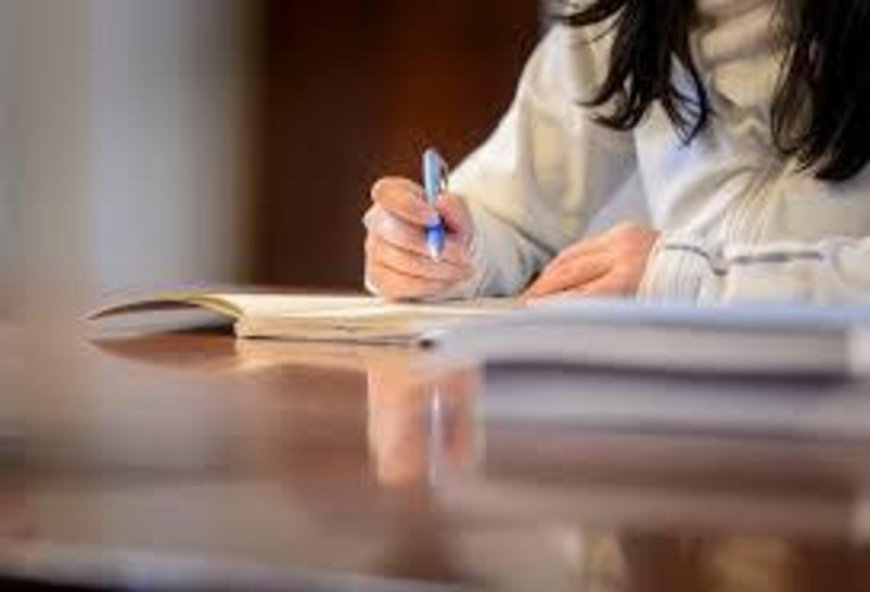 Empowering Tomorrow’s Nurses: How Professional Writing Support Fuels BSN Success